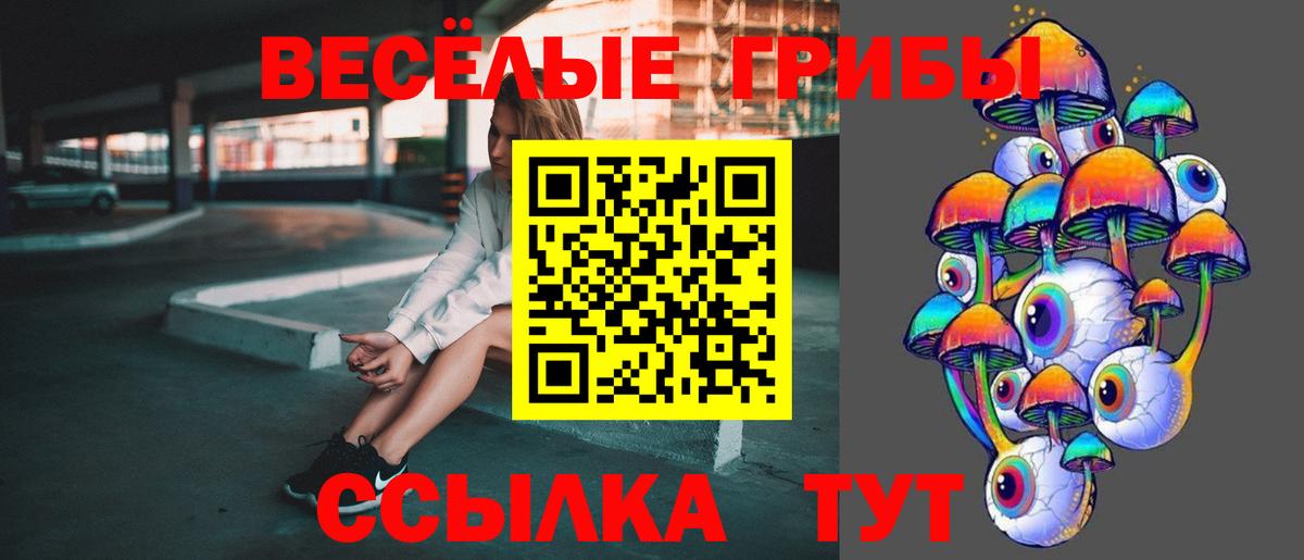 Клин  Галлюциногенные грибы Psilocybine cubensis  Галлюциногенные грибы Psilocybine cubensis  Вход с VPN 