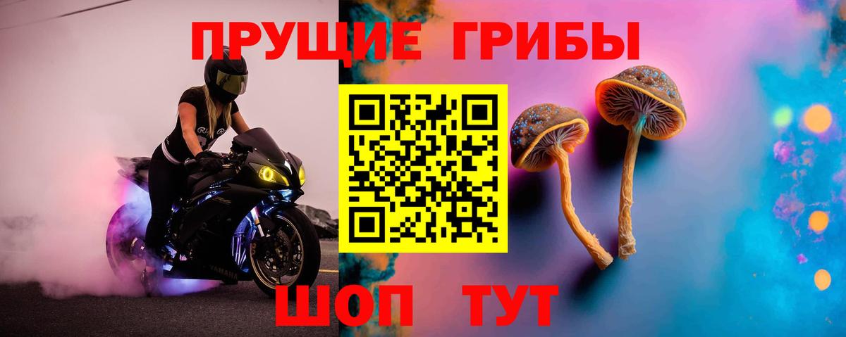 Псилоцибиновые грибы GOLDEN TEACHER Клин