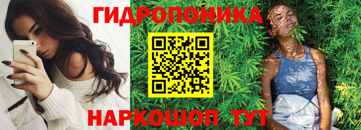 Шишки марихуана планчик Клин